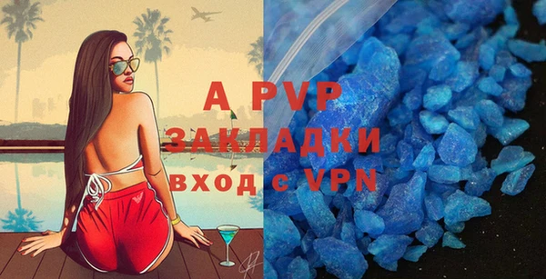 эйфоретик Пересвет