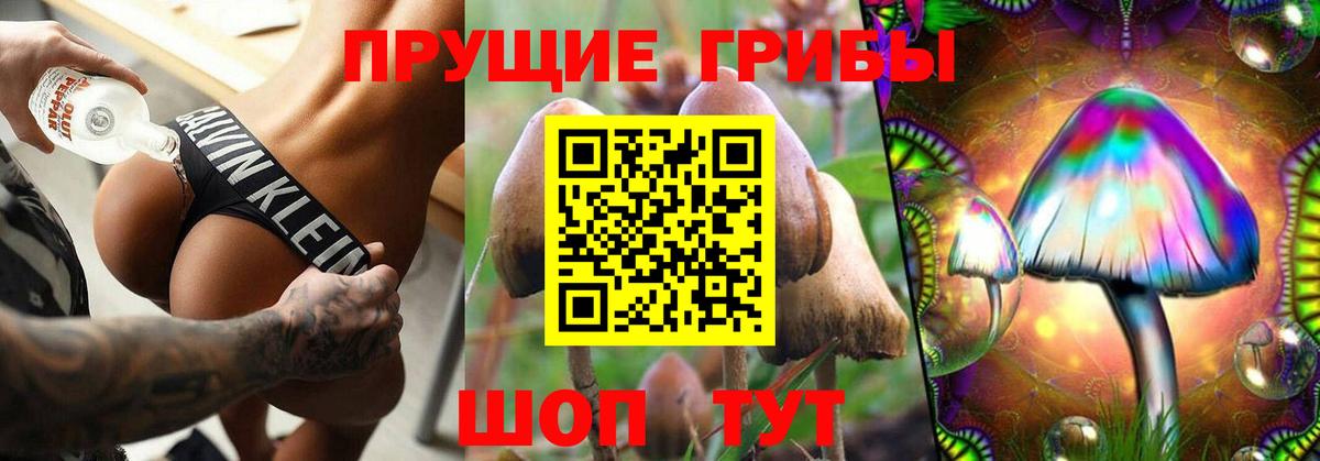 Галлюциногенные грибы MAGIC MUSHROOMS  Псилоцибиновые грибы мухоморы  Вход с VPN  Реж 