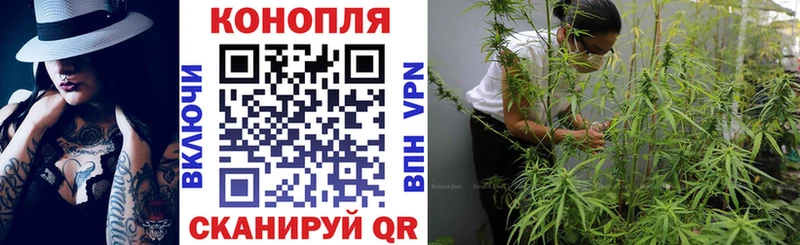 блэк спрут ссылка  Реж  Канабис ГИДРОПОН 